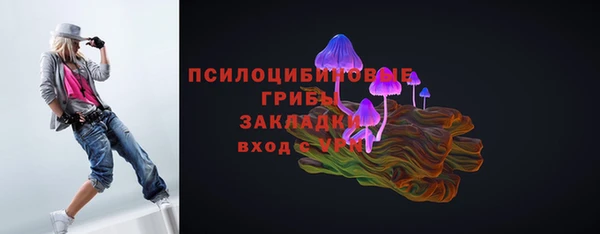 молекула духа Киселёвск