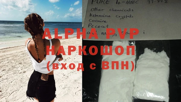 прущие грибы Бугульма