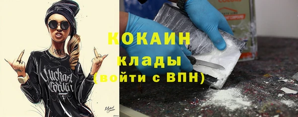 mix Бородино