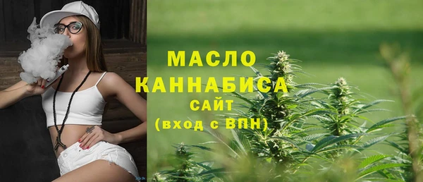 mix Бородино